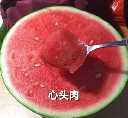 自己成了吃瓜,我的成长之旅