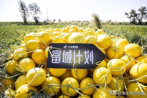 抖音避雷吃瓜,吃瓜群众必看，轻松避开网络陷阱