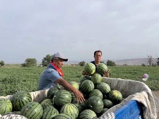 十三行吃瓜最新,揭秘吃瓜群众的狂欢盛宴